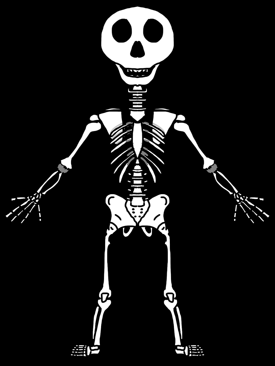 Human Skeleton Coloring Pages Trends For Human Skeleton Coloring Page Clip Art Library