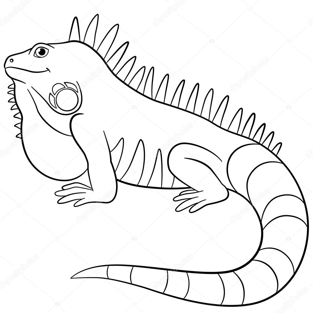 Iguana Coloring Page Coloring Pages Cute Iguana Smiles Stock Vector Ya Mayka 128026966