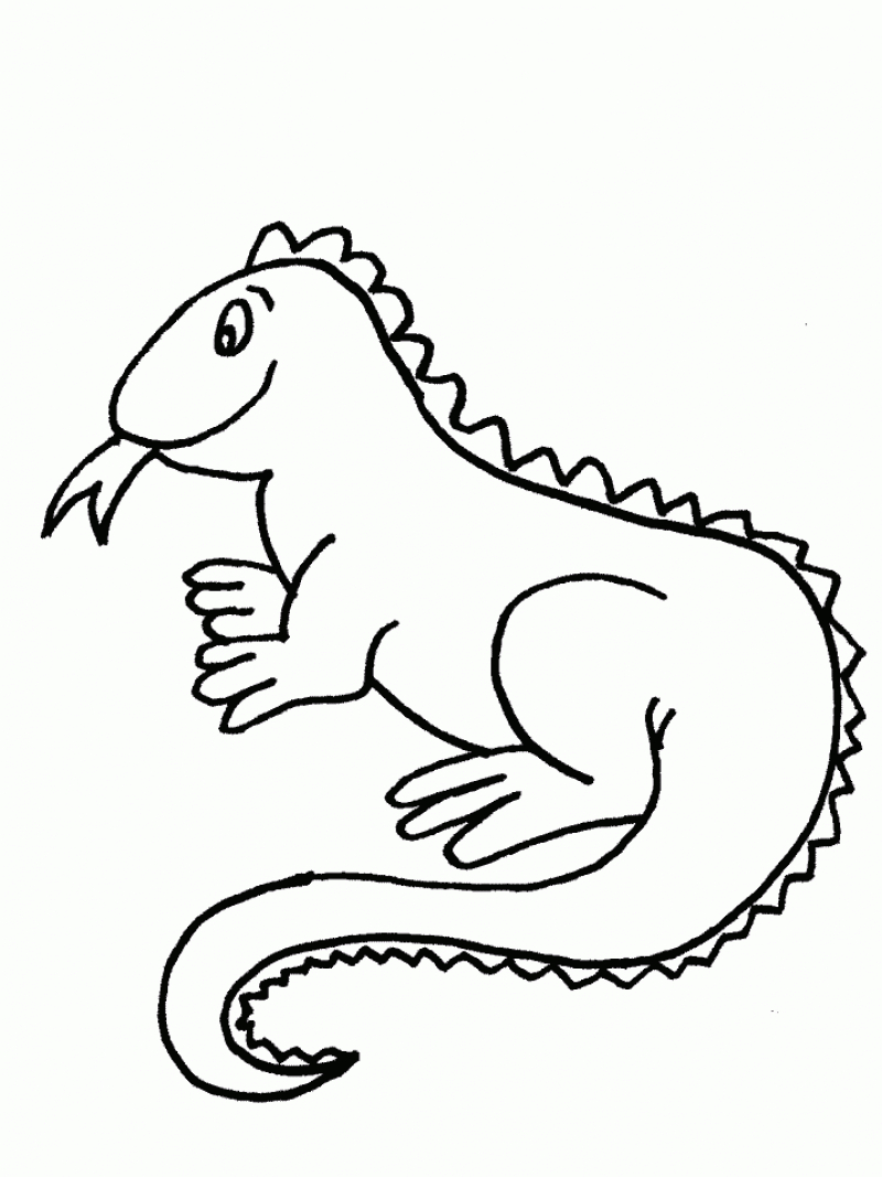 Iguana Coloring Page Free Printable Iguana Coloring Pages For Kids