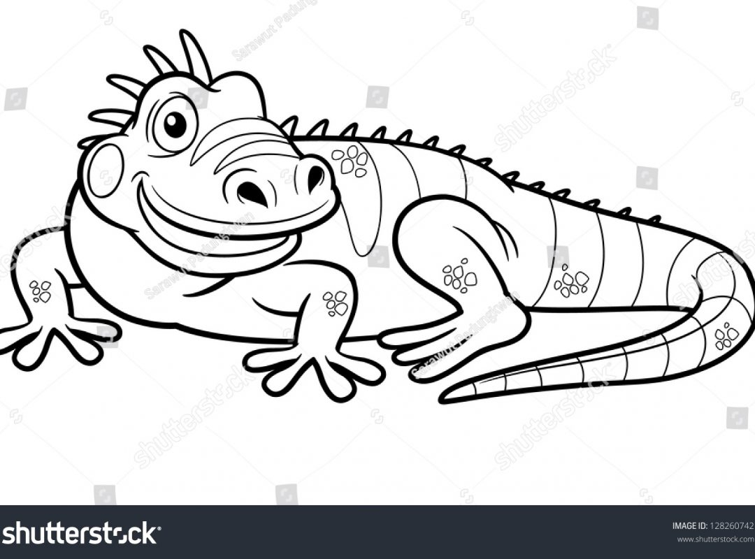 Iguana Coloring Page Iguana Cartoon Drawing At Getdrawings Free For Personal Use