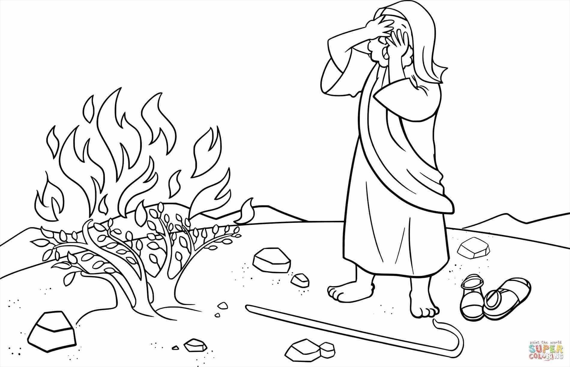 Joshua Fought The Battle Of Jericho Coloring Page Collection Joshua Tree Coloring Pages For Adults Pictures