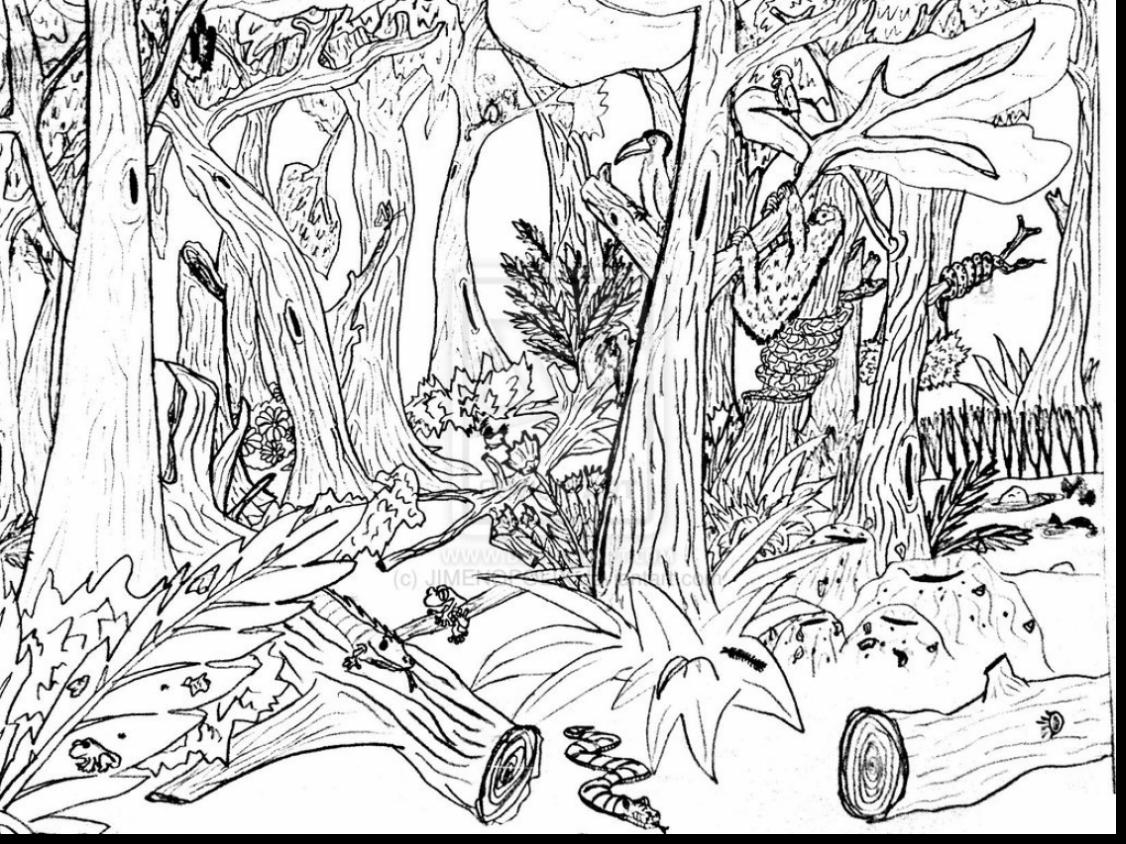 Jungle Coloring Pages Coloring Ideas Free Printable Jungle Coloring Pages Rare Scene