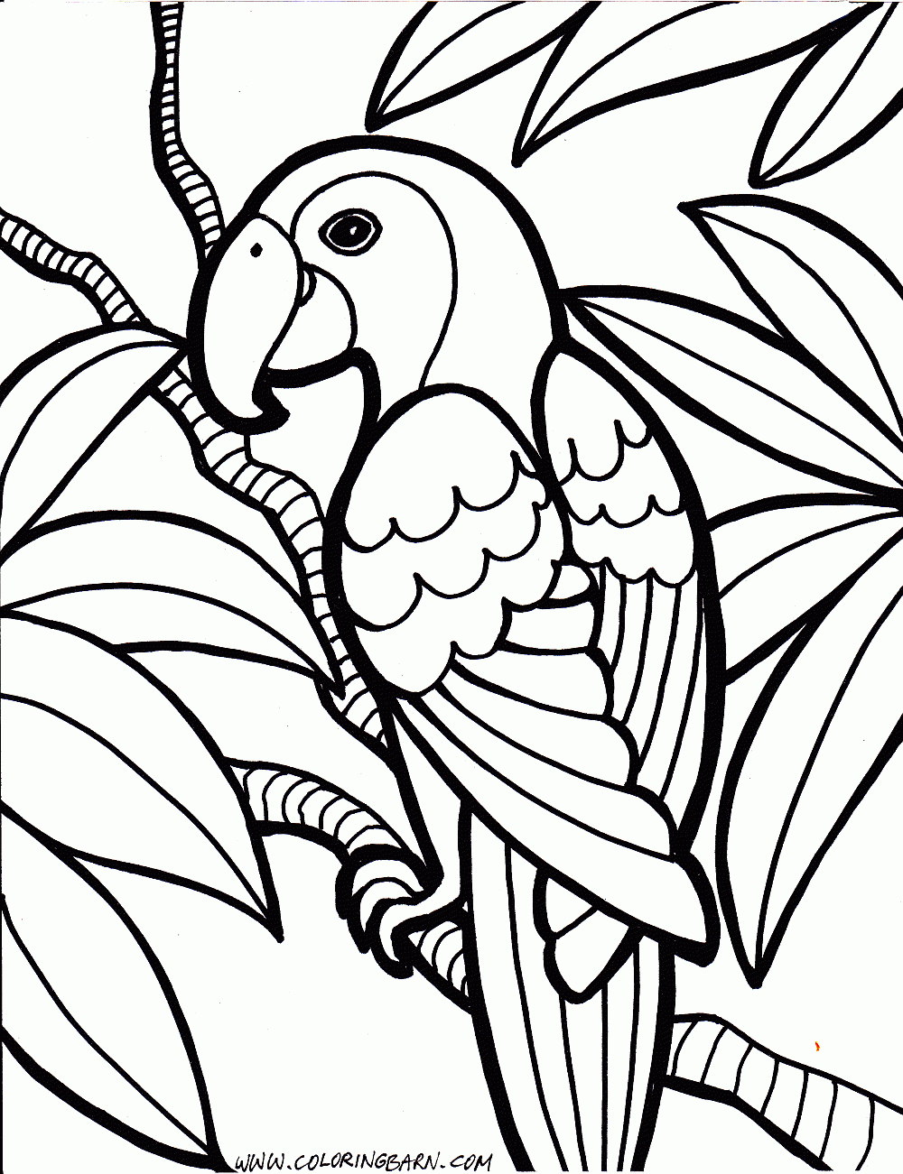 Jungle Coloring Pages Coloring Ideas Parrot Coloring Pages Cinderella Pinterest Jungle
