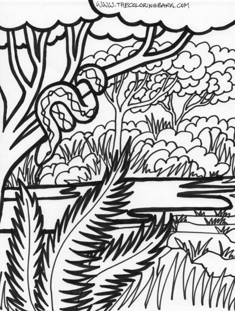 Jungle Coloring Pages Coloring Jungle Coloring Pages Sheets Page Scene 31 Marvelous