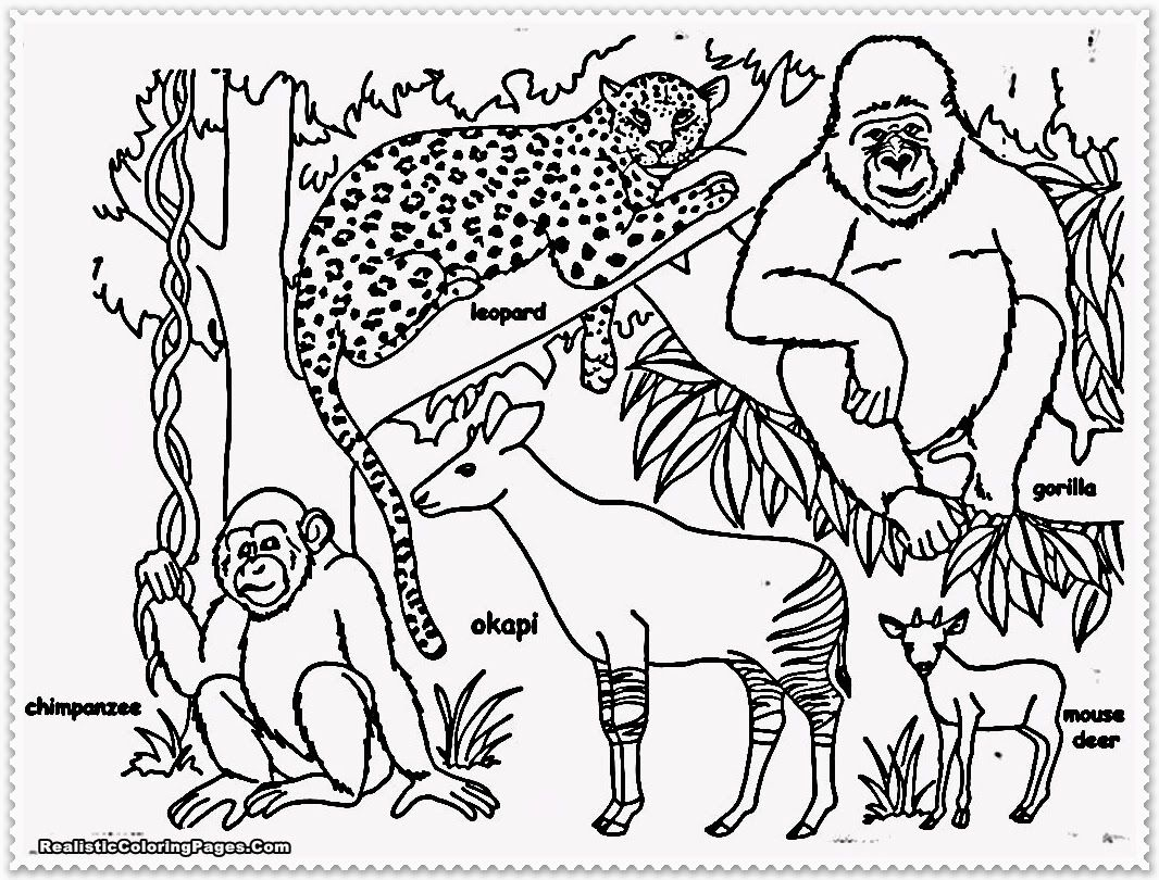 Jungle Coloring Pages Coloring Pages Fantastic Printable Junglenimal Coloring Pages Ba