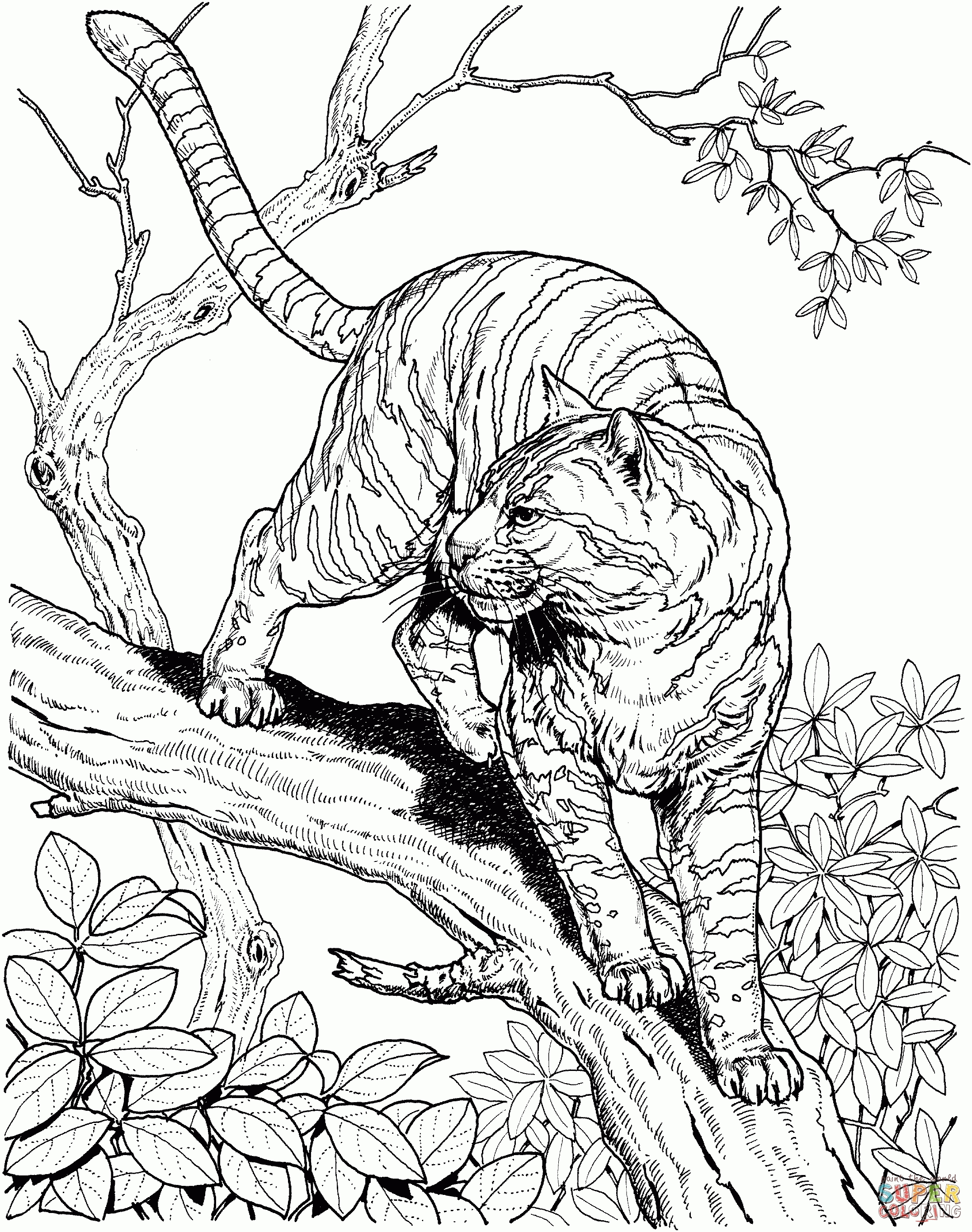 Jungle Coloring Pages Coloring Pages Jungle Scene Coloring Pages Animal Freee For Kids