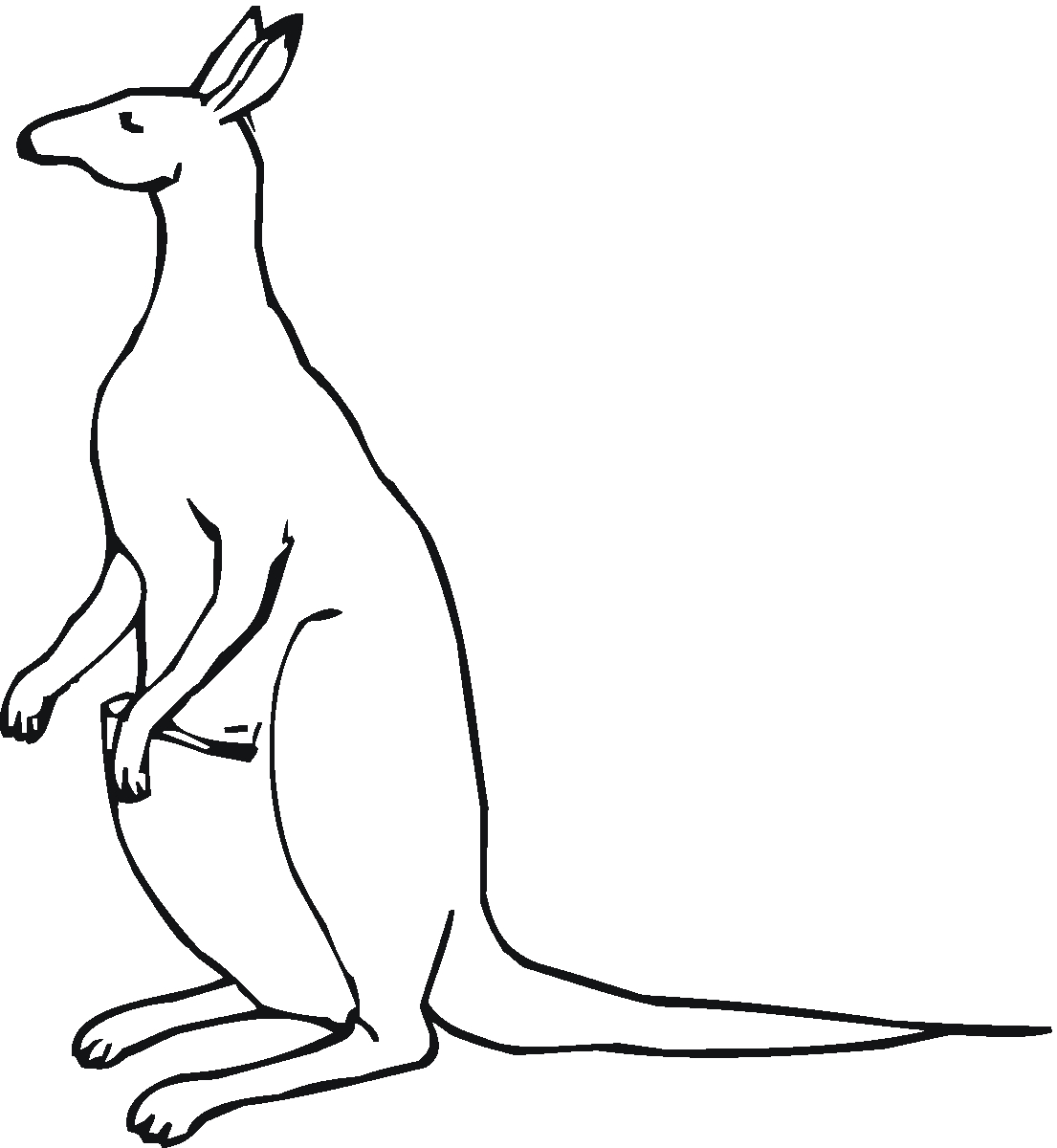 Kangaroo Color Page Free Kangaroo Images For Kids Download Free Clip Art Free Clip Art
