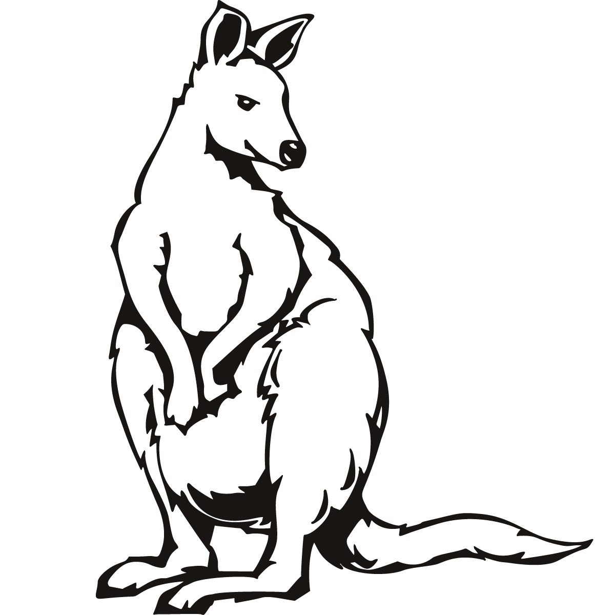 Kangaroo Color Page Free Kangaroo Pictures To Color Download Free Clip Art Free Clip