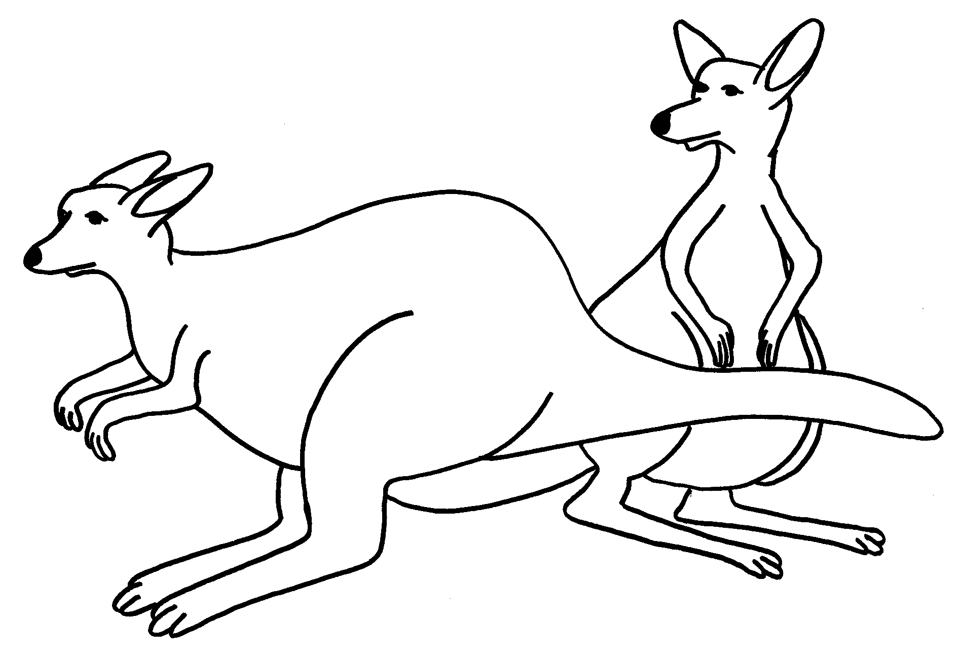 Kangaroo Color Page Free Printable Kangaroo Coloring Pages For Kids