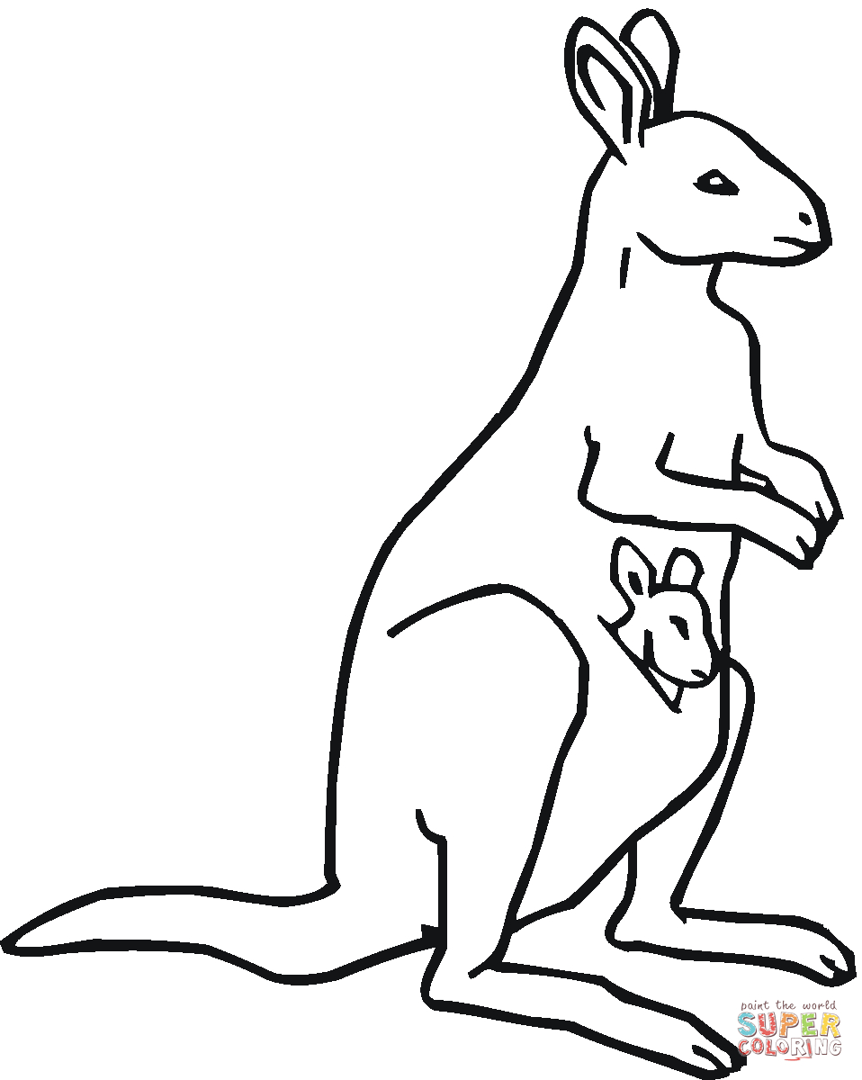 Kangaroo Color Page Kangaroos Coloring Pages Free Coloring Pages