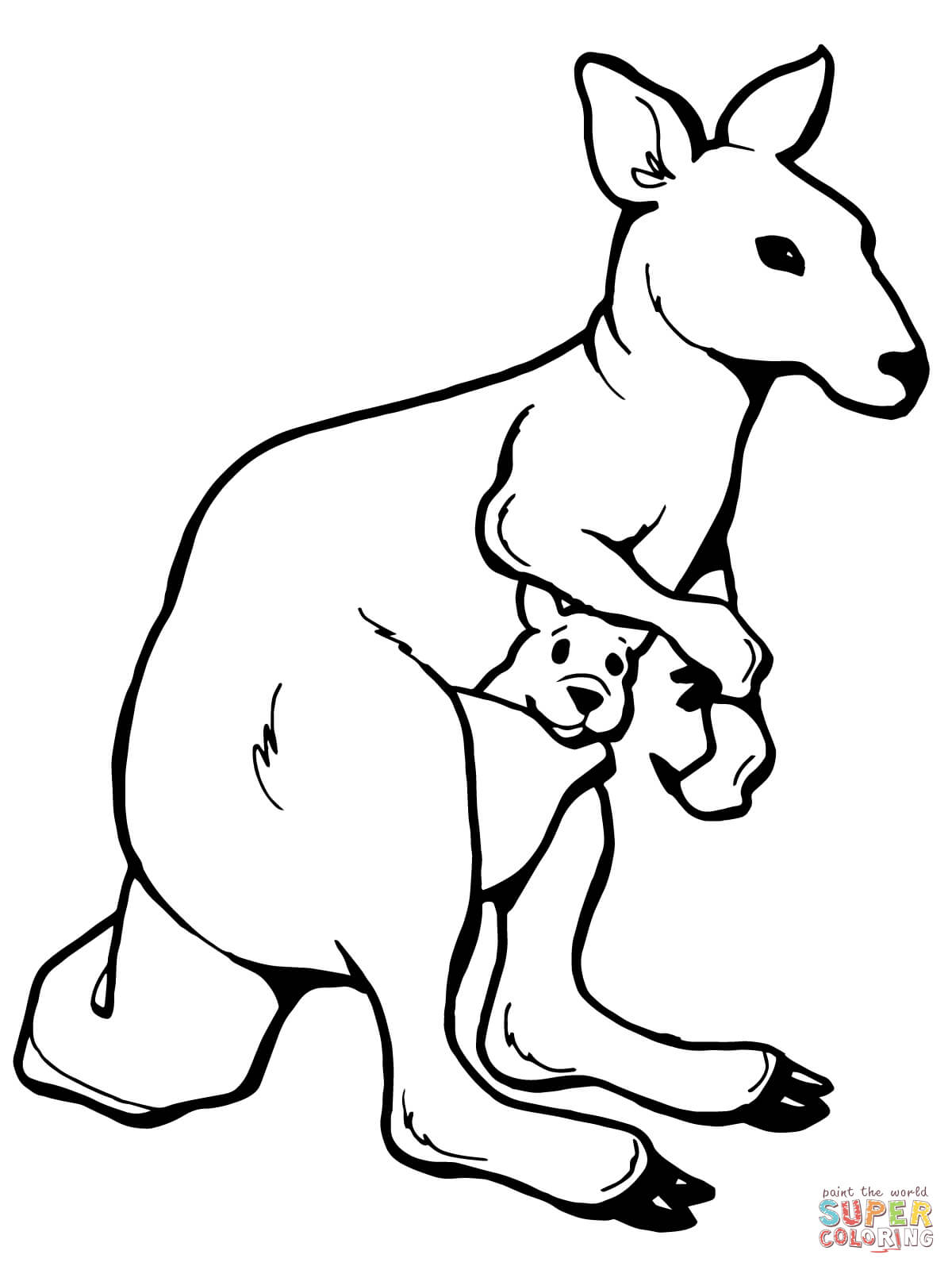 Kangaroo Color Page Kangaroos Coloring Pages Free Coloring Pages