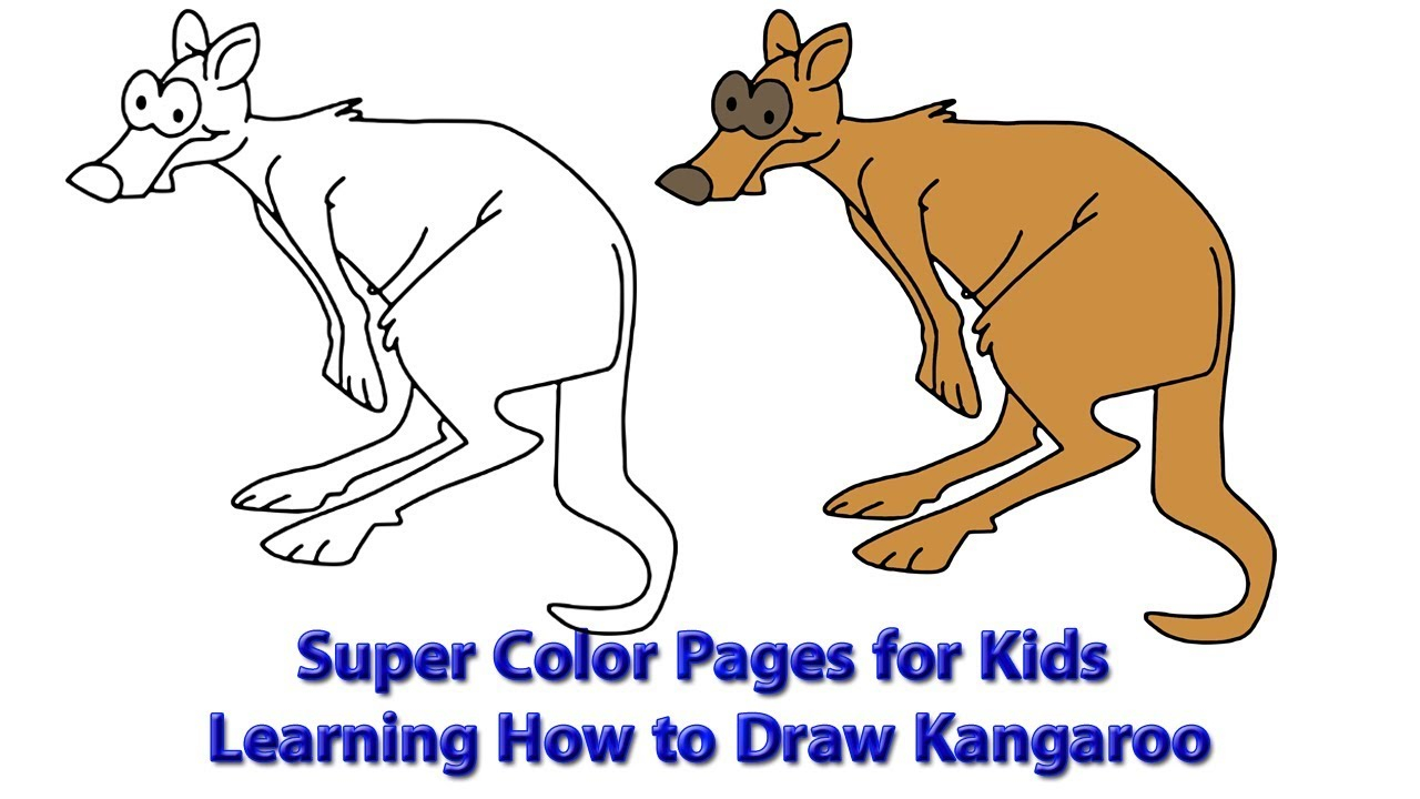 Kangaroo Color Page Super Color Pages For Kids Learning How To Draw Kangaroo