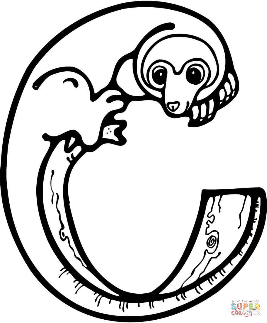 Letter C Coloring Pages For Preschoolers Letter C Is For Cuscus Coloring Page Free Printable Coloring Pages