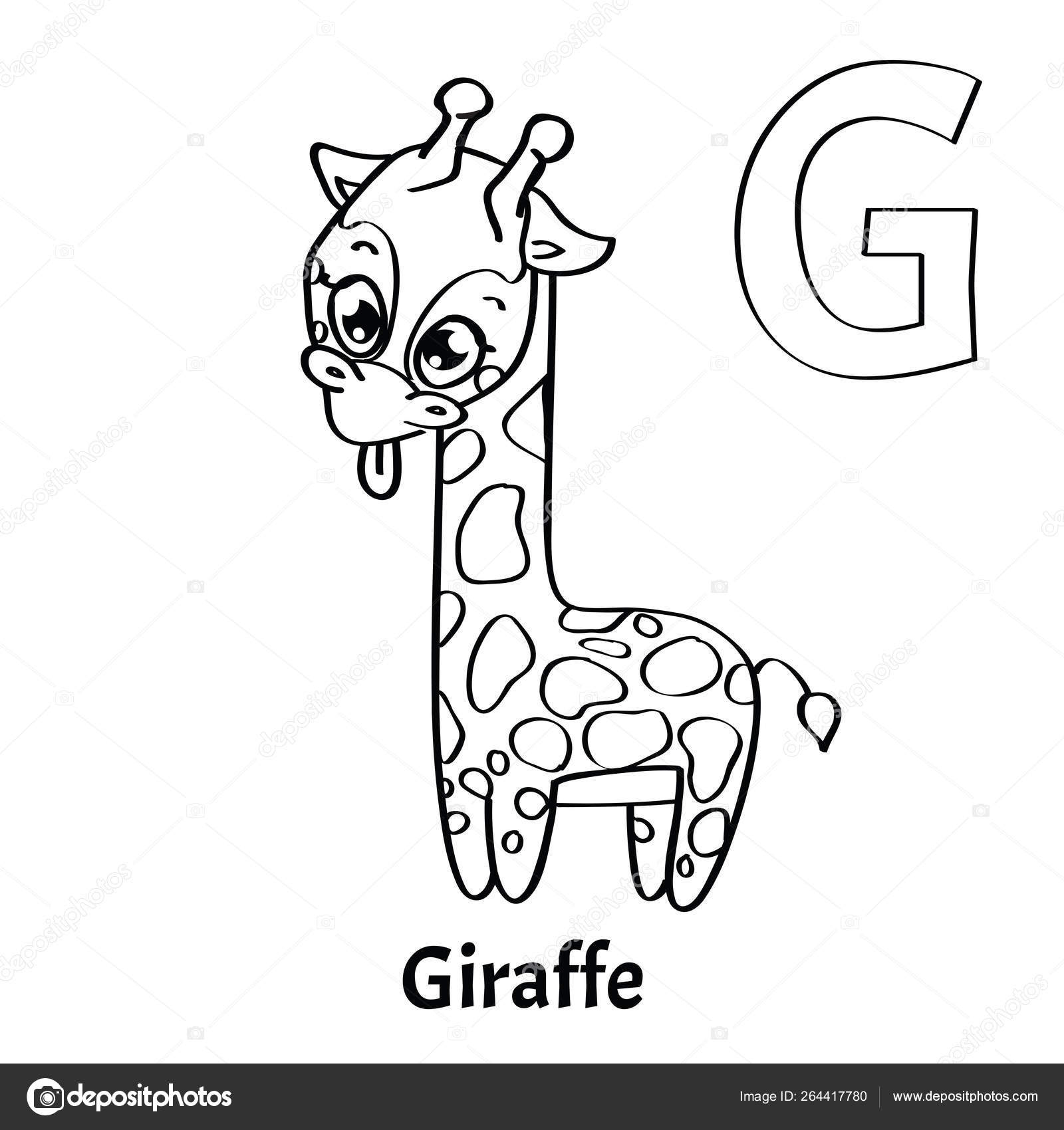 Letter Coloring Page Vector Alphabet Letter G Coloring Page Giraffe