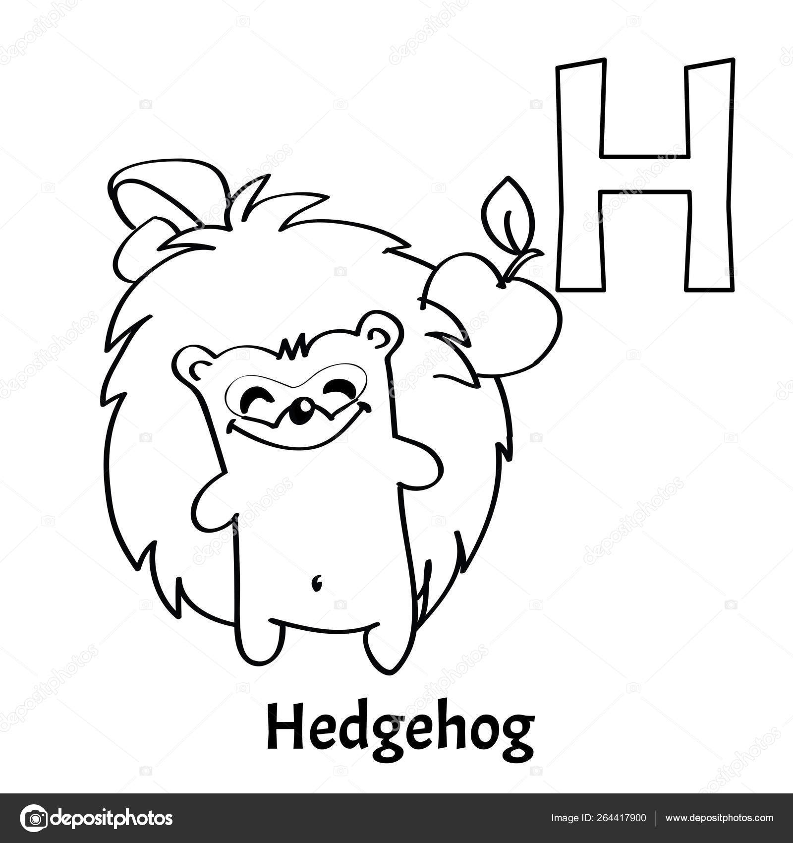 Letter Coloring Page Vector Alphabet Letter H Coloring Page Hedgehog