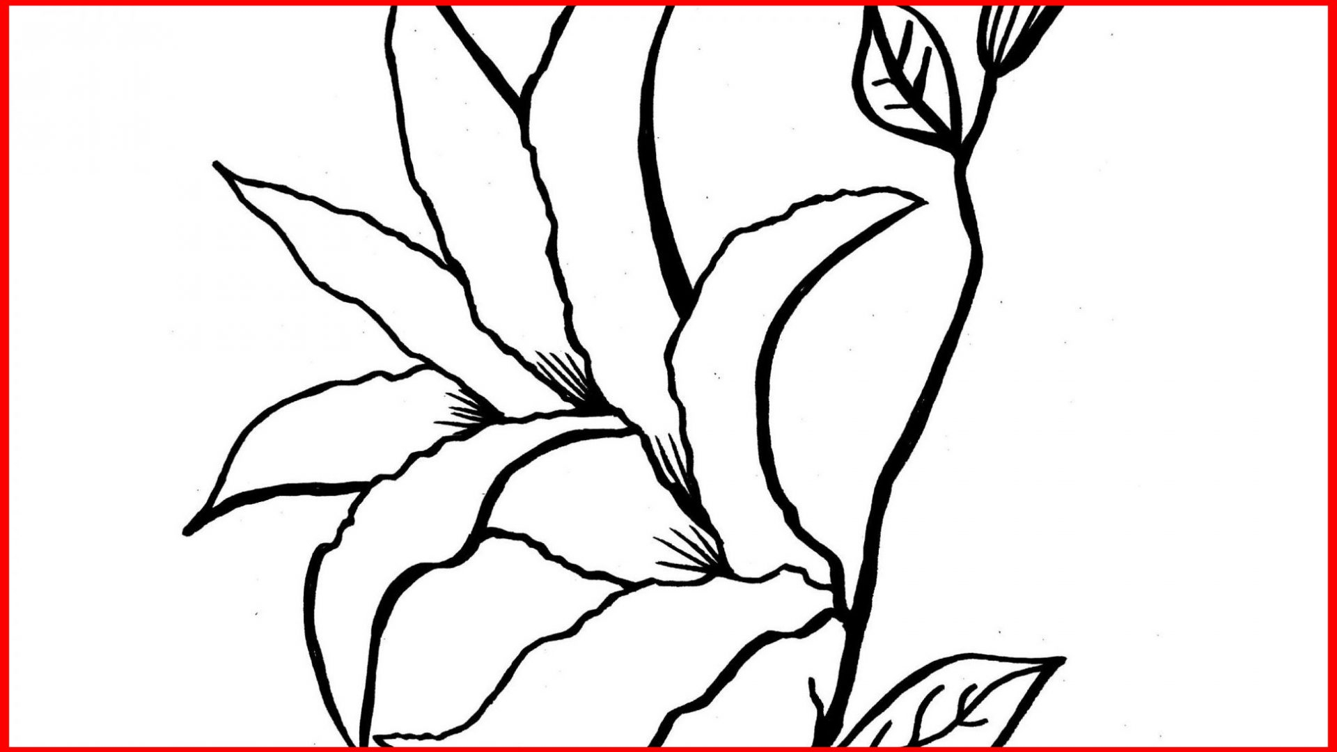 Lily Of The Valley Coloring Page Easter Lily Line Drawing At Paintingvalley Explore Collection