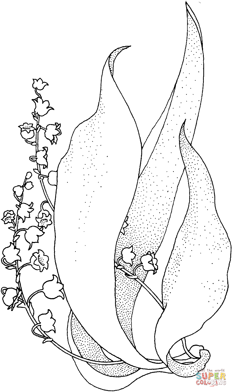 Lily Of The Valley Coloring Page Lily Of The Valley 1 Coloring Page Free Printable Coloring Pages