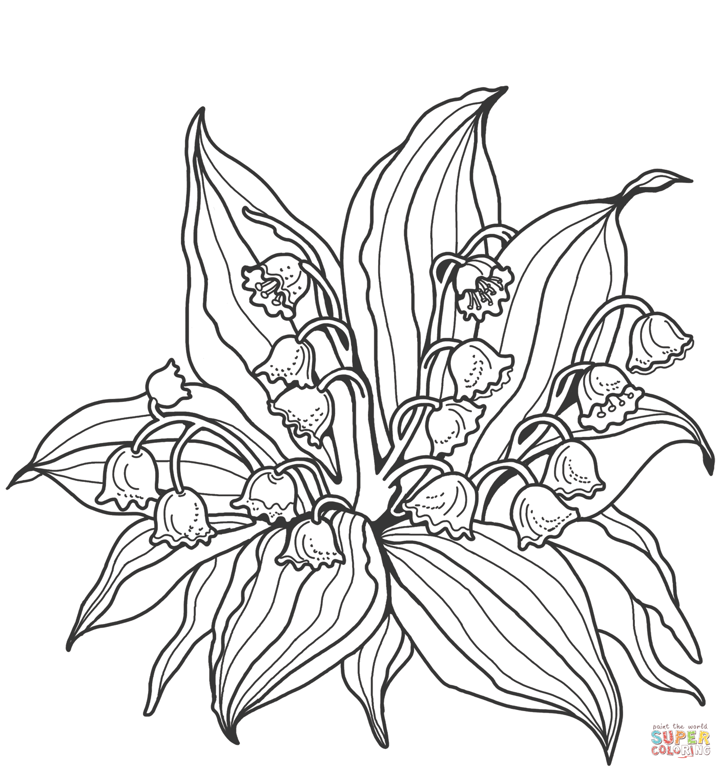 Lily Of The Valley Coloring Page Lily Of The Valley Coloring Page Free Printable Coloring Pages