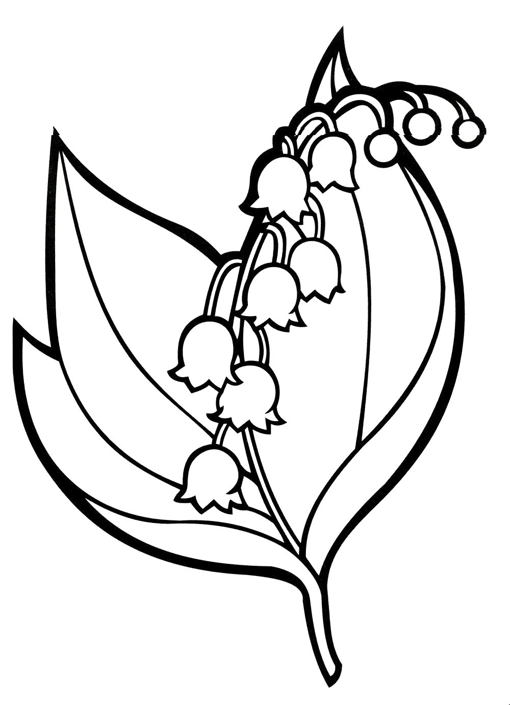 Lily Of The Valley Coloring Page Lily Of The Valley Drawing Free Download Best Lily Of The Valley