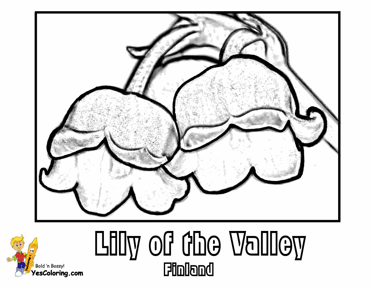 Lily Of The Valley Coloring Page Luxurious Coloring Flower Picture Lily Free Easter Flower
