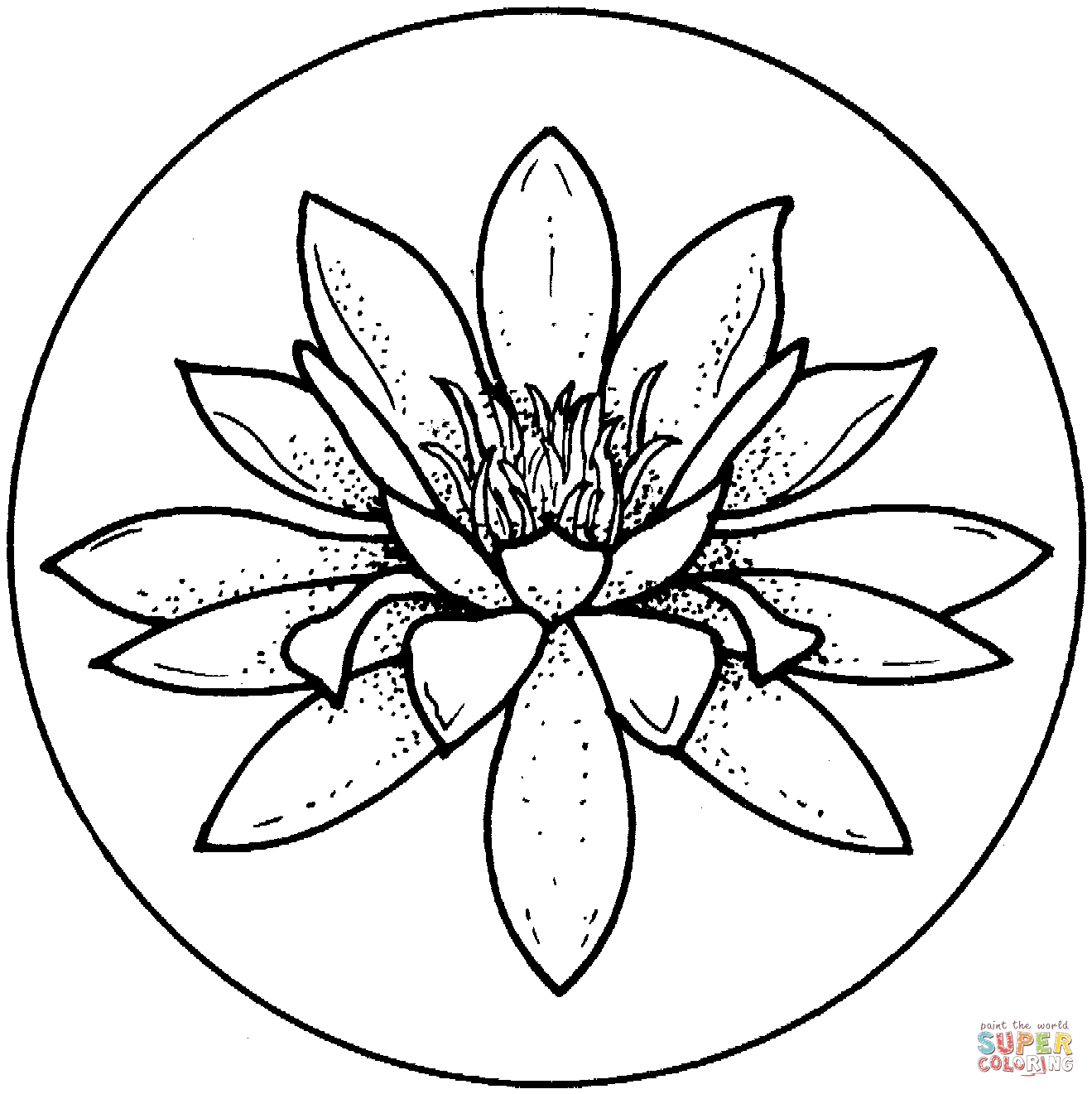 Lily Of The Valley Coloring Page Water Lily Blossom Coloring Page Free Printable Coloring Pages