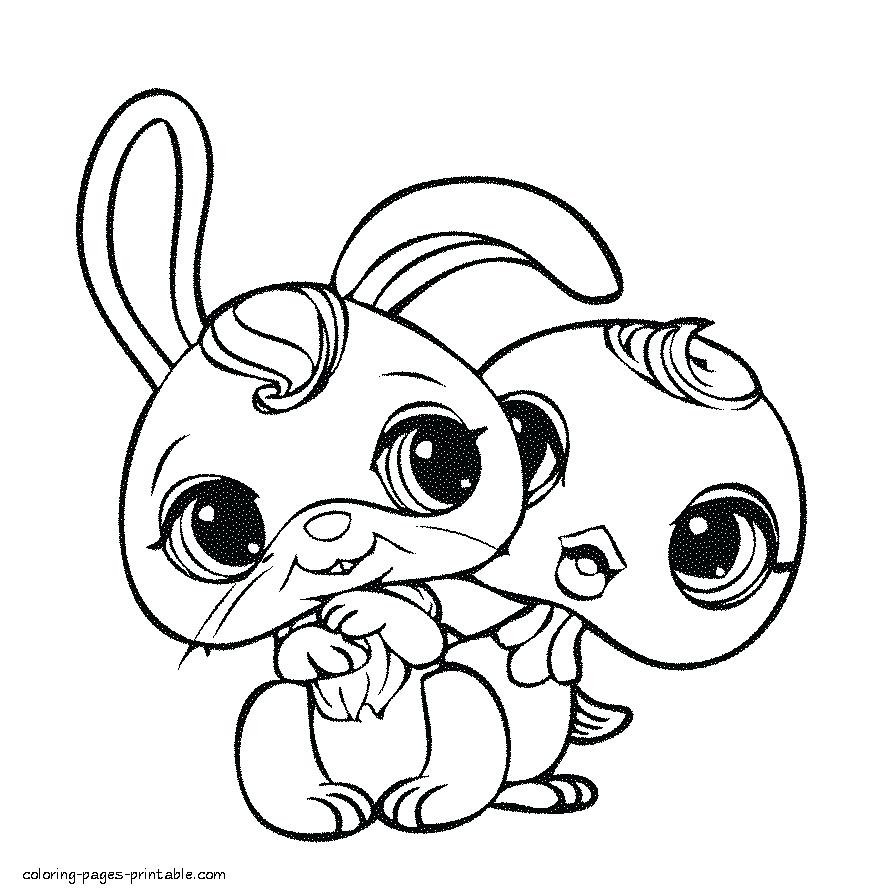 Little Puppy Coloring Pages Pet Coloring Pictures Quorumsheetco