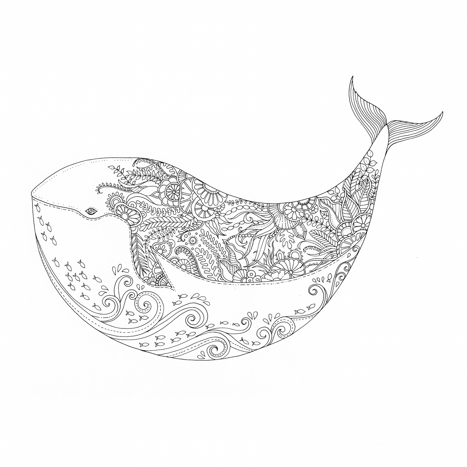 Lost Ocean Coloring Book Pages Coloring The Great Black White Whale Literary Hub