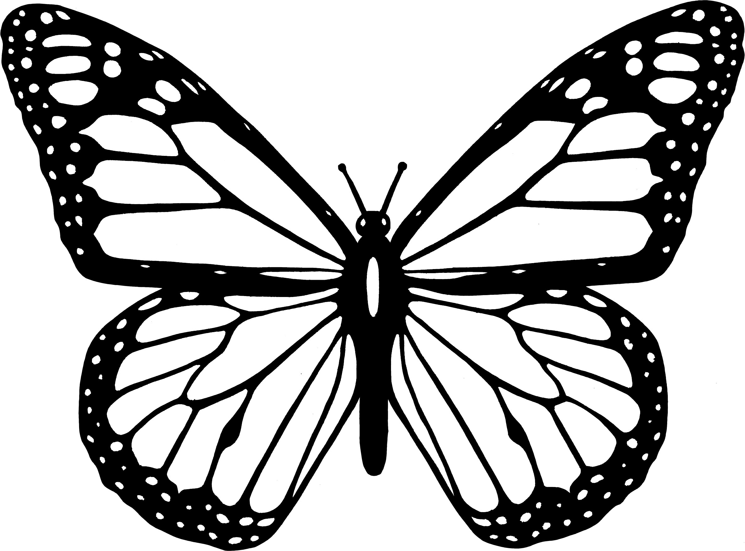 Monarch Butterfly Coloring Page Beautiful Monarch Butterfly Coloring Pages For Kids Bleupnr