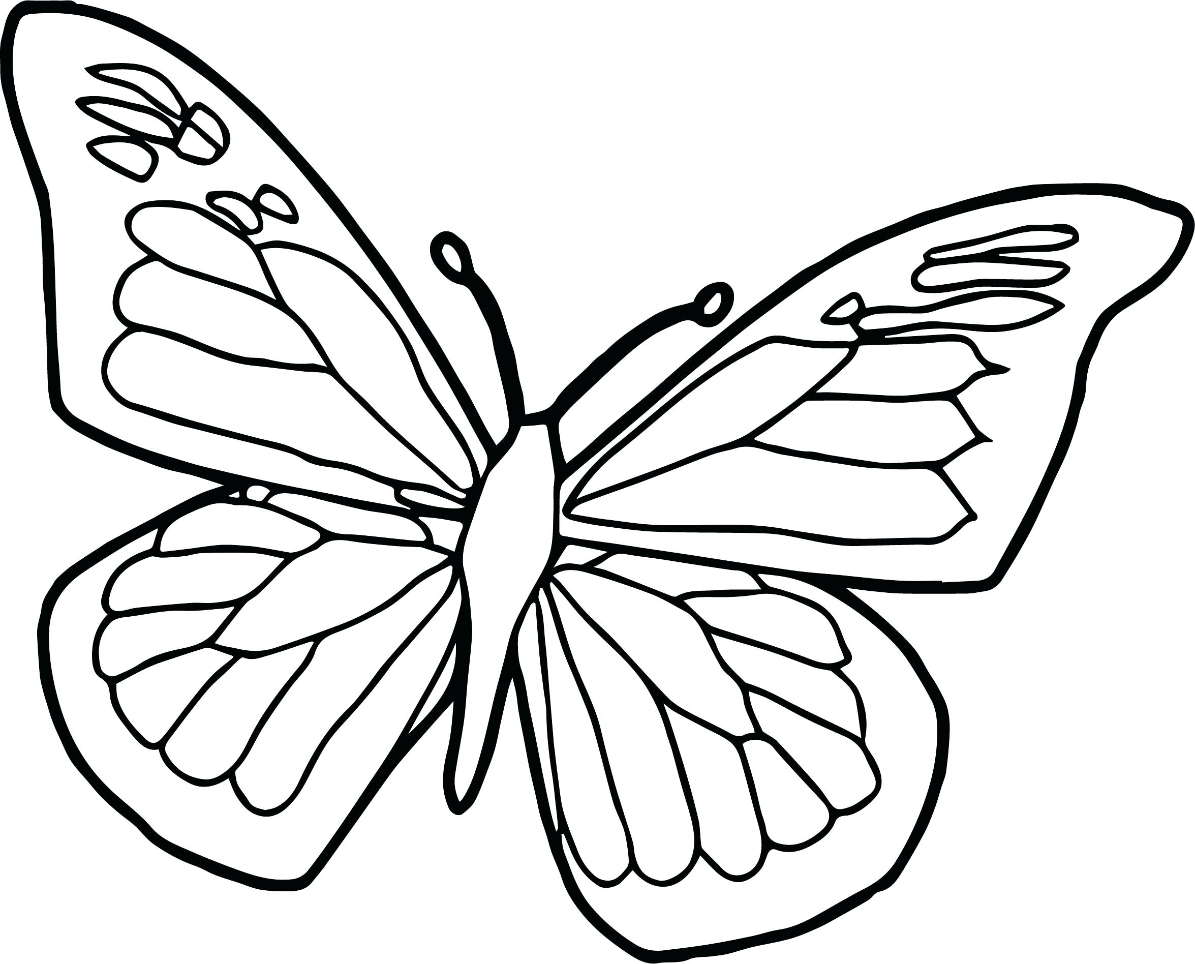 Monarch Butterfly Coloring Page Color Page Of Butterfly Butterflies G Page Butterfly Pages Free