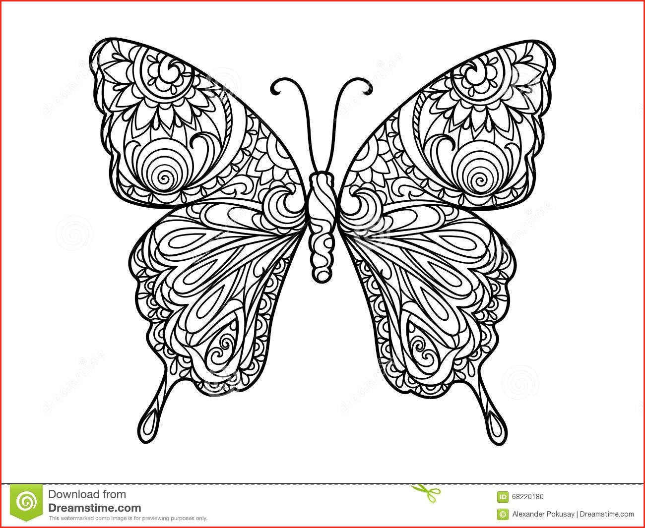 Monarch Butterfly Coloring Page Coloring Books Coloring Books Butterfly Page Monarch Pages