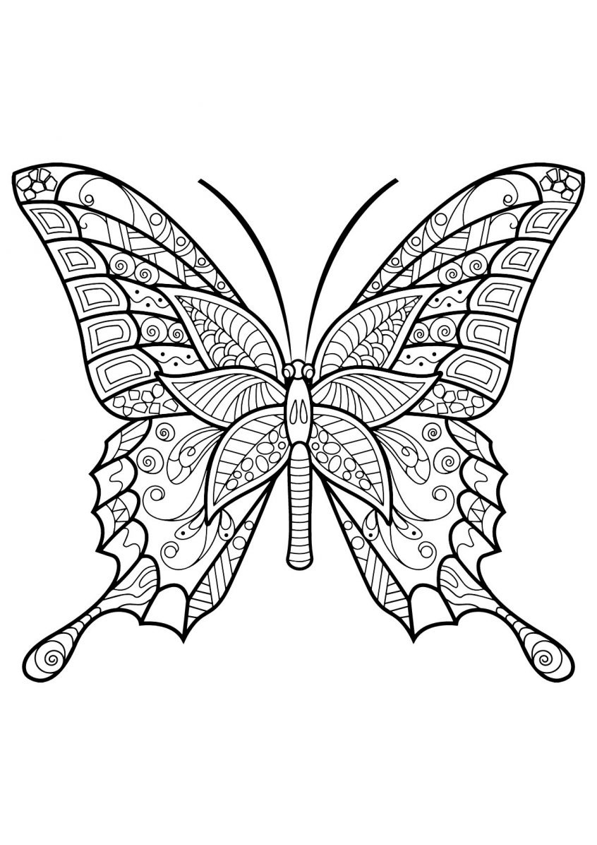 Monarch Butterfly Coloring Page Coloring Free Butterfly Coloring Pages Unique Butterflies To Color