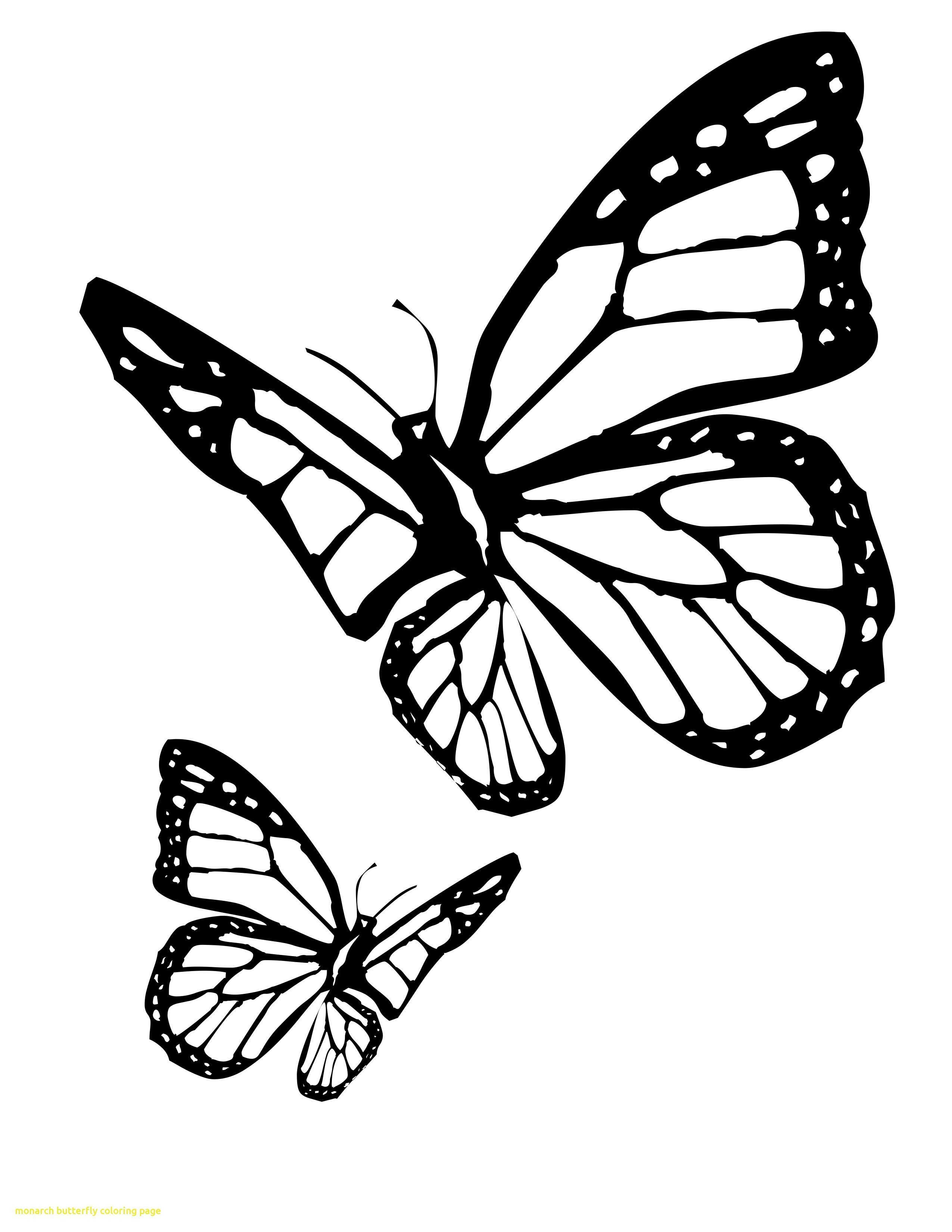 Monarch Butterfly Coloring Page Coloring Ideas Butterflyg Pages For Preschool Free Printable To