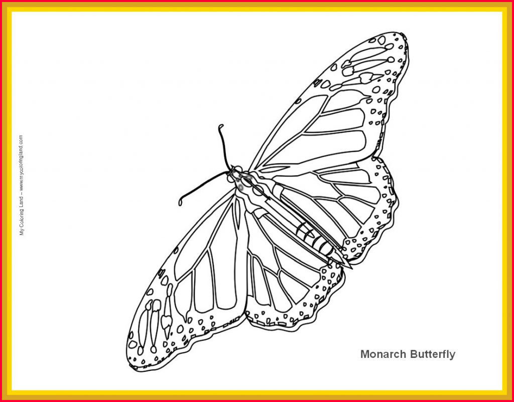 Monarch Butterfly Coloring Page Coloring Monarch Butterfly Coloring Pages Page Astonishing Monarch