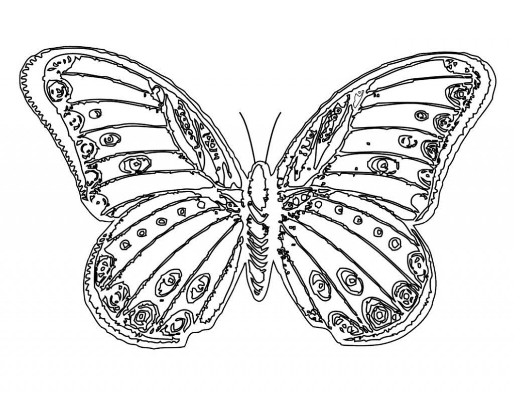 Monarch Butterfly Coloring Page Coloring Monarch Butterflyoring Page With Free Printable Pages For