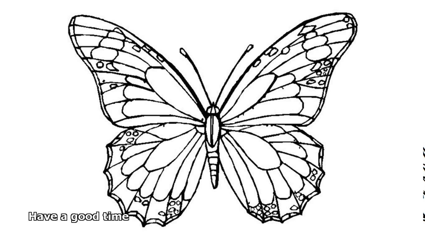 Monarch Butterfly Coloring Page Fresh Butterfly Color Page Fun Time