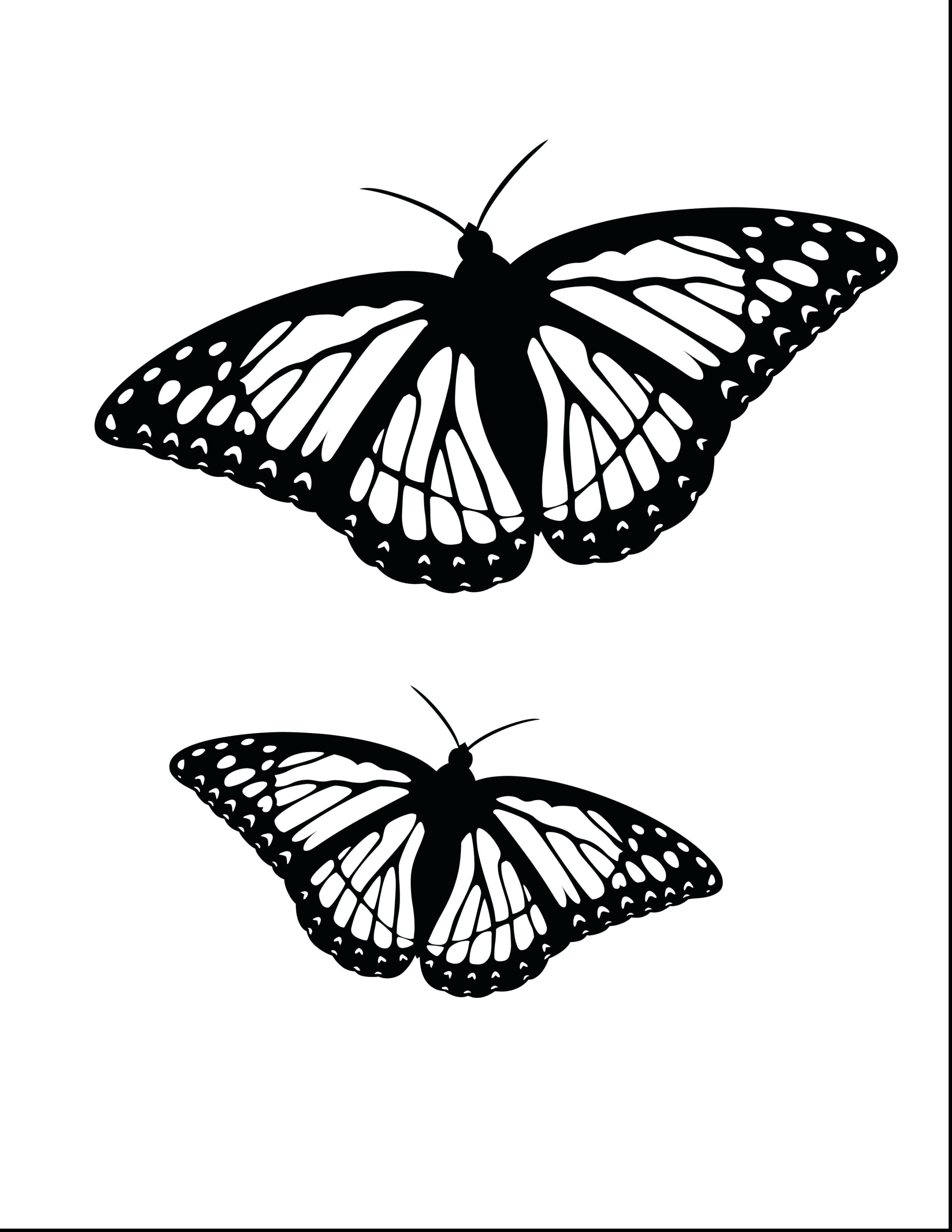 Monarch Butterfly Coloring Page Monarch Butterfly Coloring Page Coloring Pages For Children