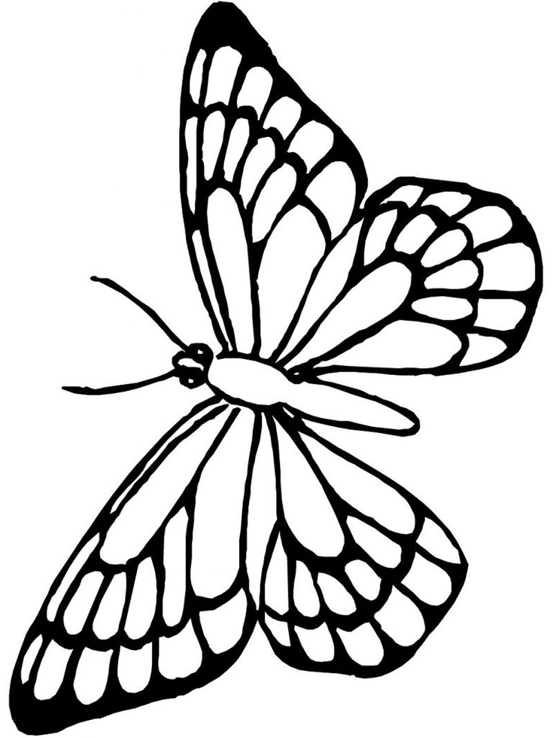 Monarch Butterfly Coloring Page Monarch Butterfly Coloring Page Free Coloring Sheets