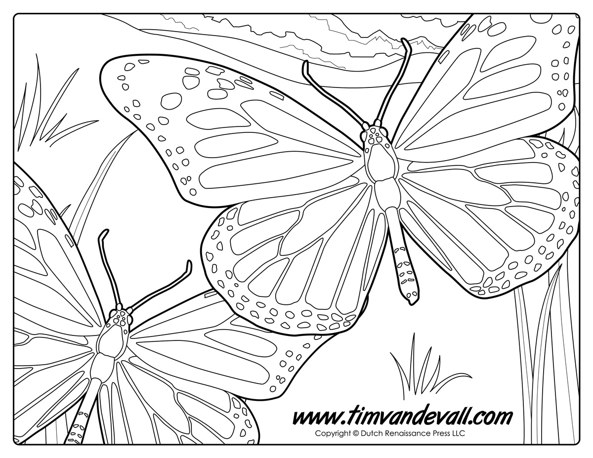 Monarch Butterfly Coloring Page Monarch Butterfly Coloring Page Tims Printables