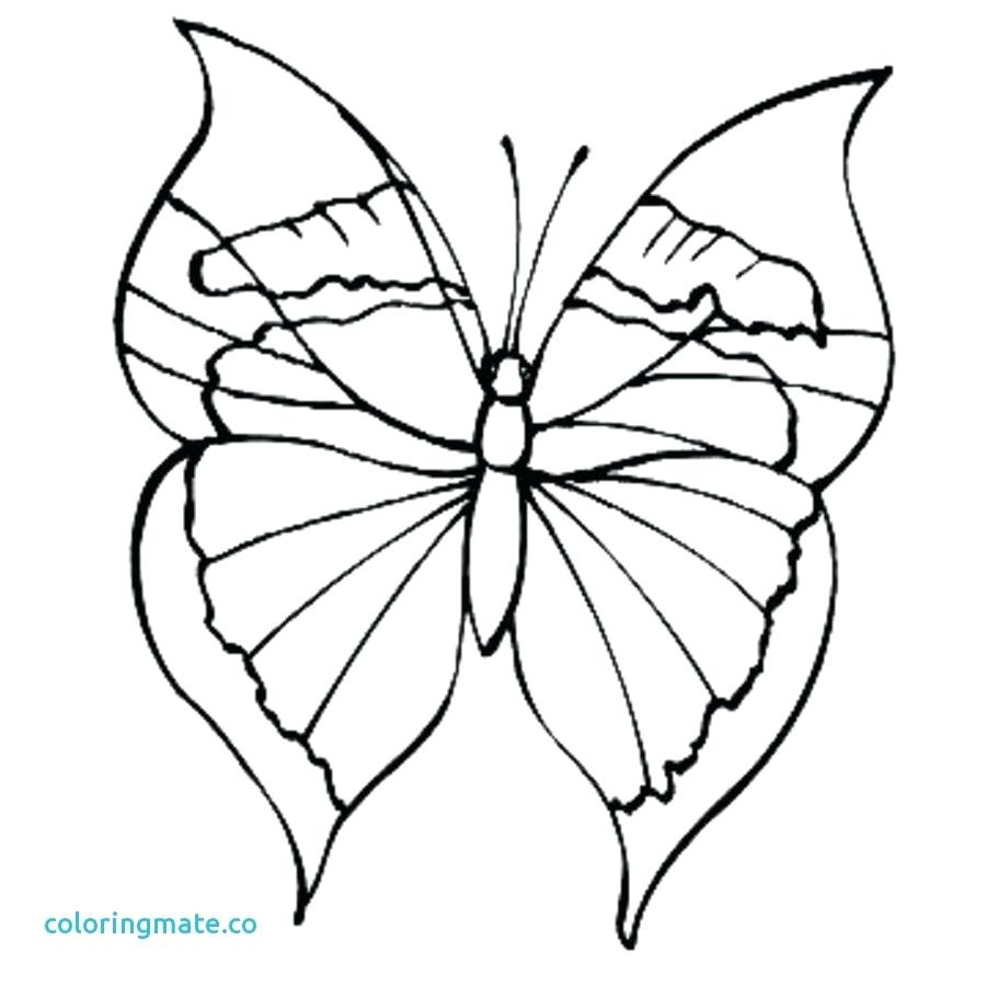 Monarch Butterfly Coloring Page Monarch Butterfly Coloring Page With Monarch Caterpillar Drawing At