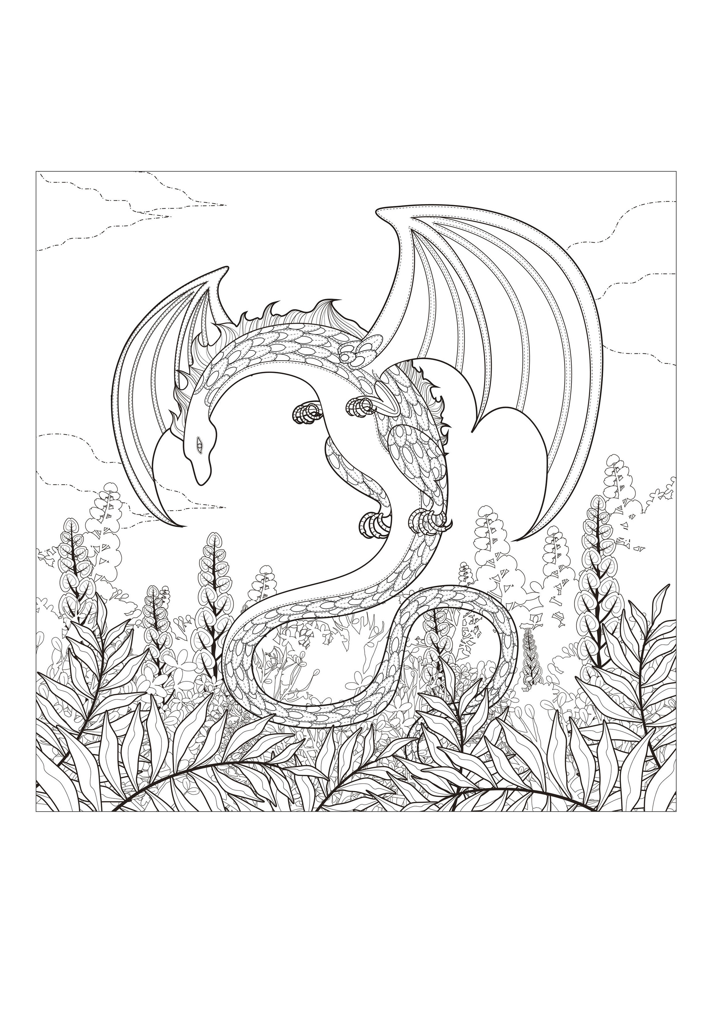 Monster Coloring Pages To Print Monster Dragon Dragons Adult Coloring Pages