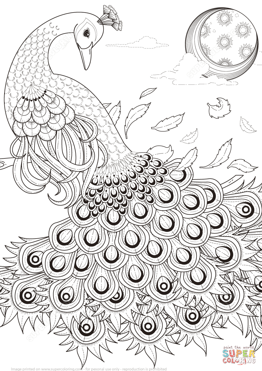 Peacock Color Page Graceful Peacock Coloring Page Free Printable Coloring Pages