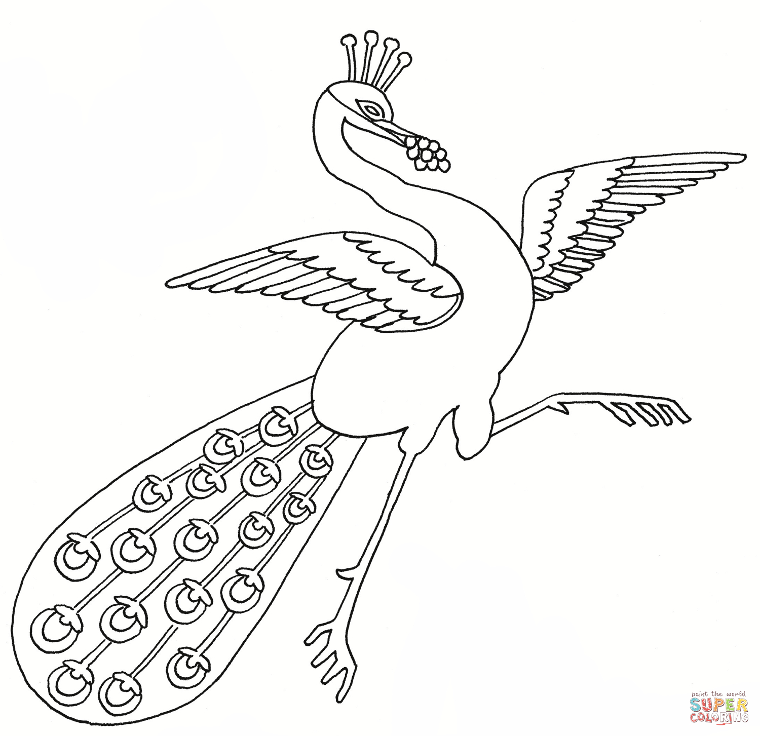 Peacock Color Page Peacocks Coloring Pages Free Coloring Pages