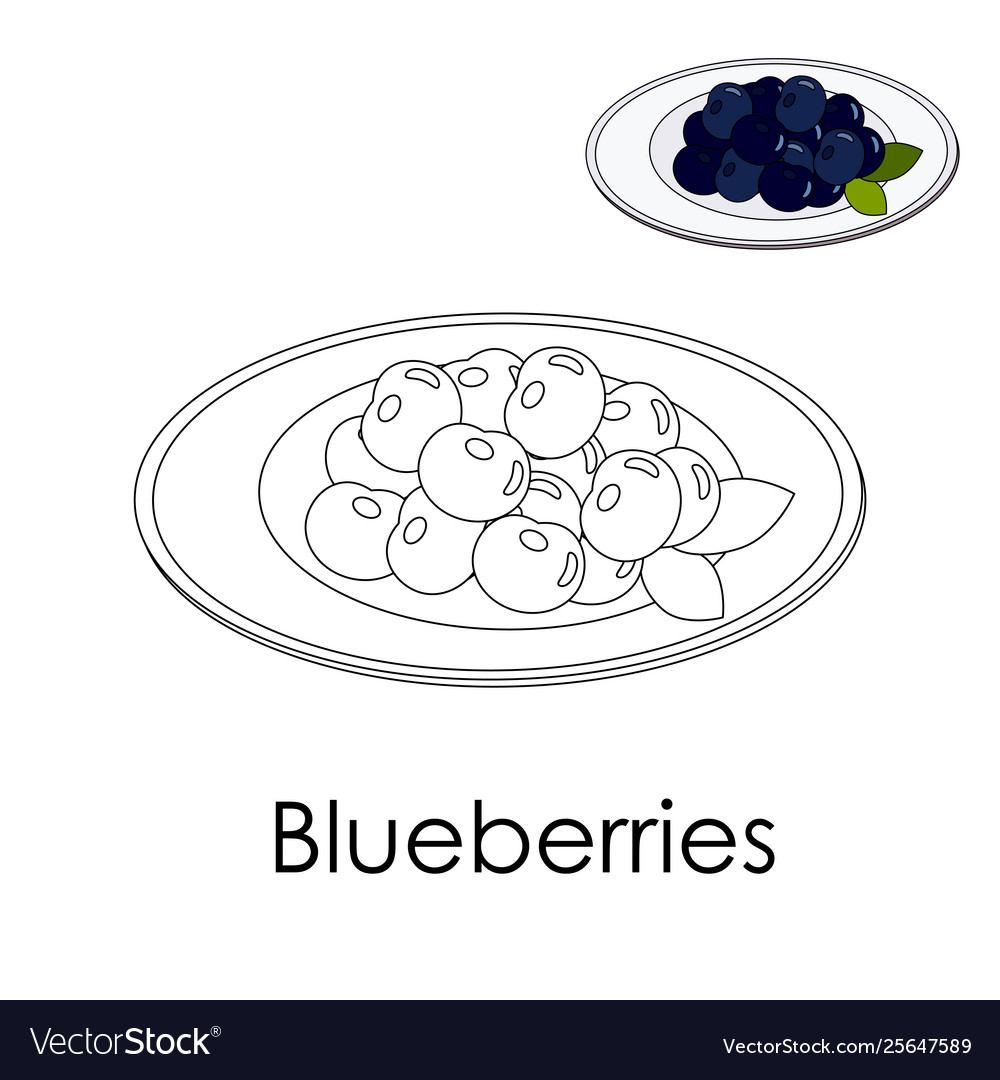 Plate Coloring Page Coloring Book Forest Blueberries On A Plate