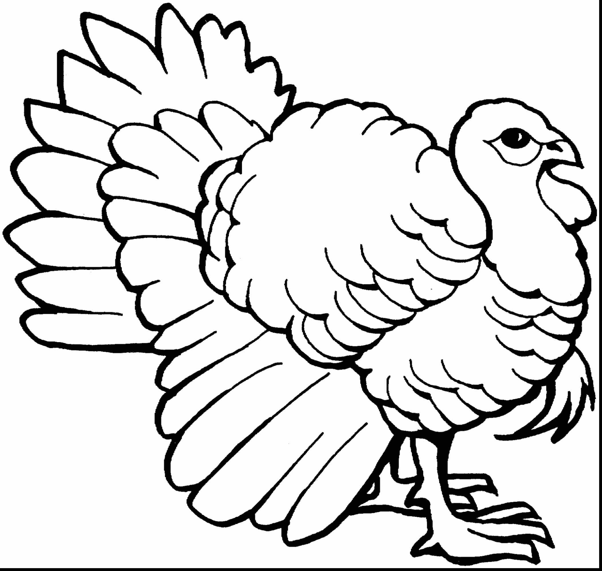Preschool Turkey Coloring Pages Coloring Free Preschool Coloring Pages Fresh Turkey For