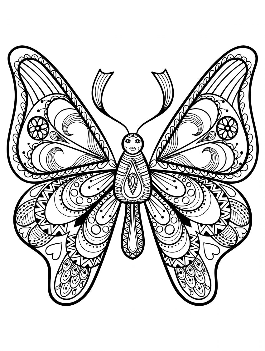 Printable Butterfly Coloring Pages Coloring Book Excelent Printable Butterfly Coloring Pages Photo