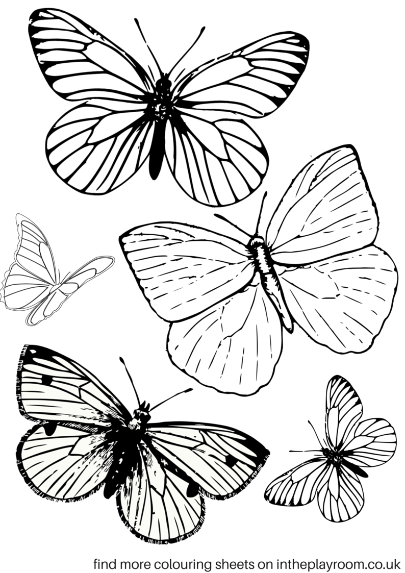 Printable Butterfly Coloring Pages Coloring Free Butterfly Coloring Pages Life Cycle Printable Lplus