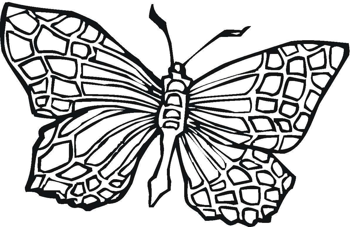 Printable Butterfly Coloring Pages Coloring Pages Coloring Free Printable Flower Pages For Adults