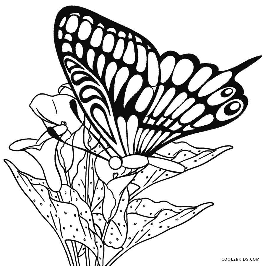 Printable Butterfly Coloring Pages Printable Butterfly Coloring Pages For Kids For Coloring Pages To