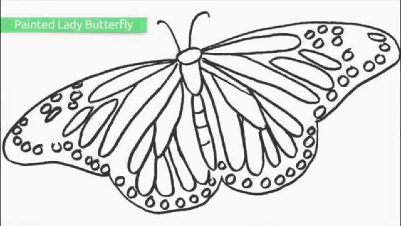 Printable Butterfly Coloring Pages Top 25 Free Printable Butterfly Coloring Pages