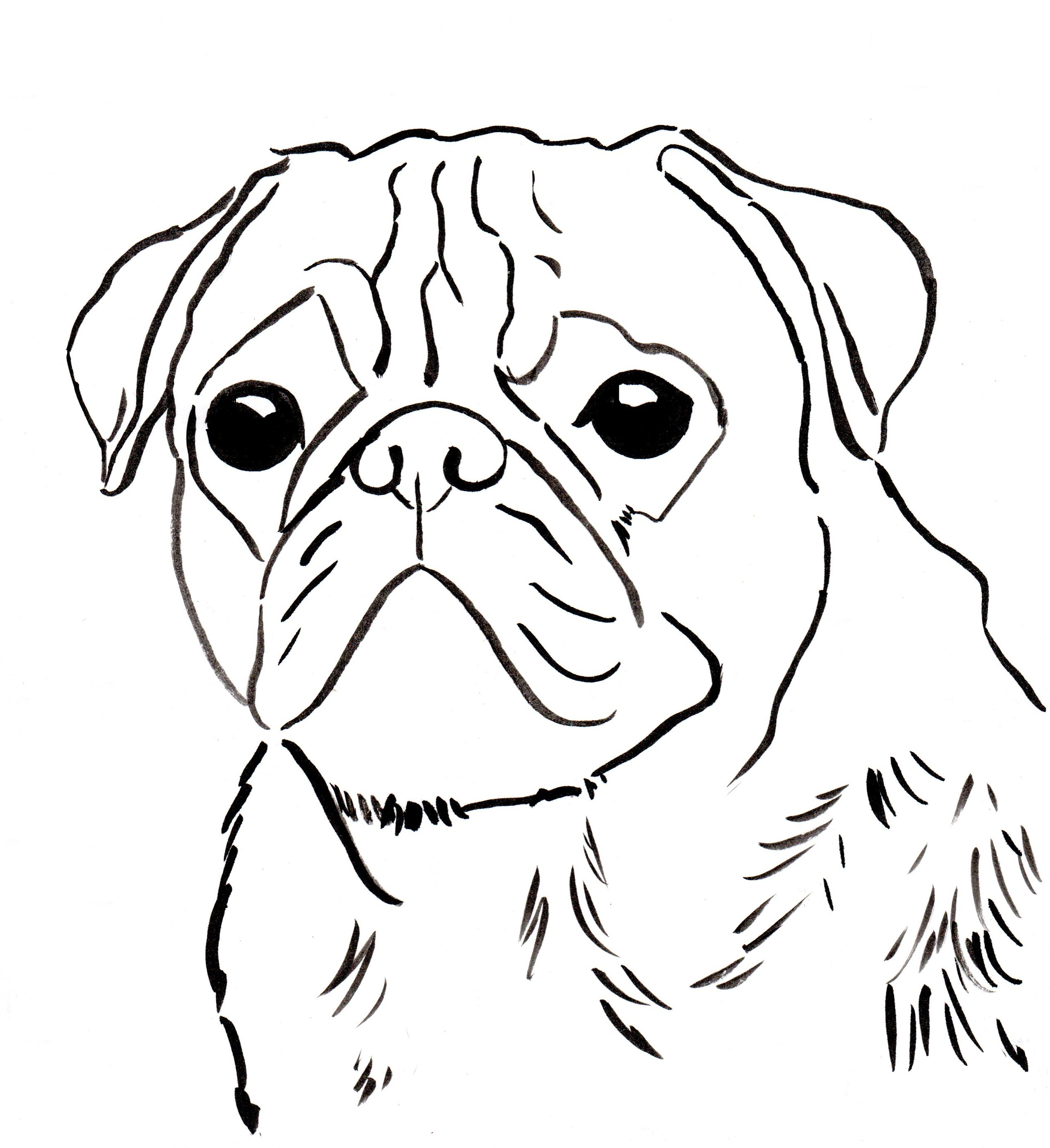 Pug Puppy Coloring Pages Coloring Cute Puppy Colorings Disney Free Printable Of Puppies New